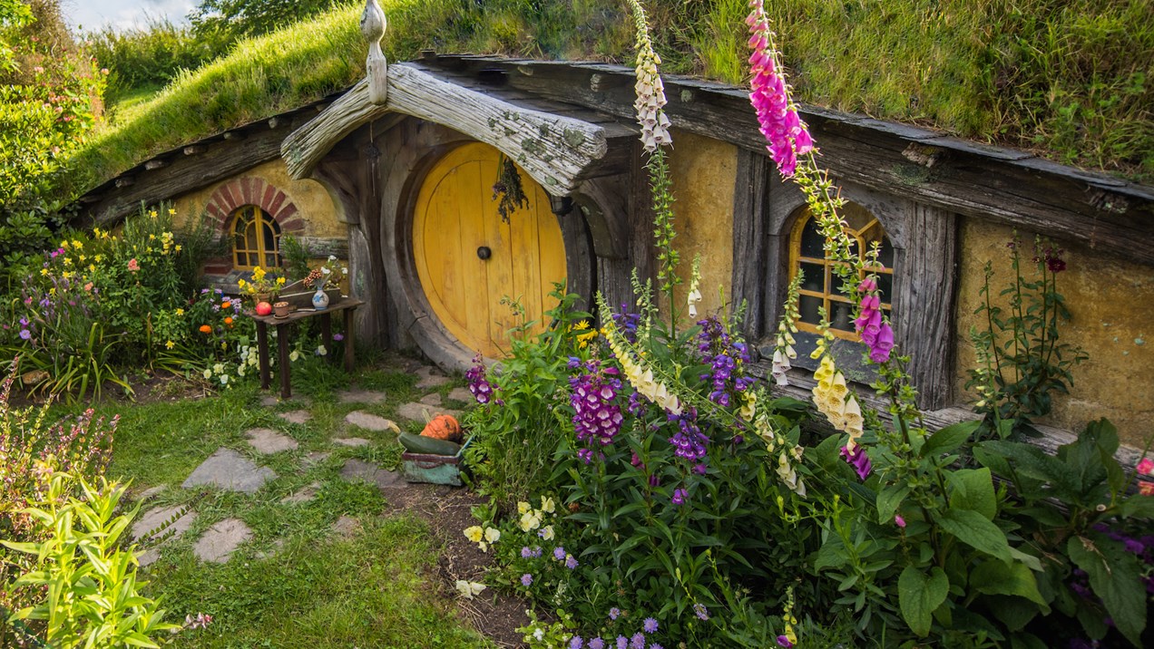 hobbiton movie set tour from shires rest